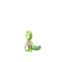 treecko evolution|Treecko (Pokémon GO) .